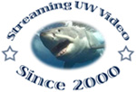 DiveFilm.com celebrates six years of streaming underwater video on the internet.  Streaming digital underwater video since 2000.
