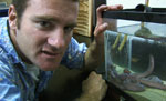 divefilm.com presents underwater video, images of the underwater world, diving in new zealand