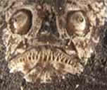 divefilm.com presents images and video of the underwater world, award-winning underwater video of the creatures of Indonesia