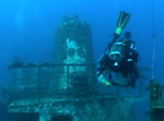 divefilm.com presents underwater video, images of the underwater world, diving in new zealand